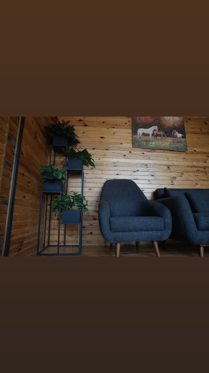Sapanca bungalov konaklama görseli 8