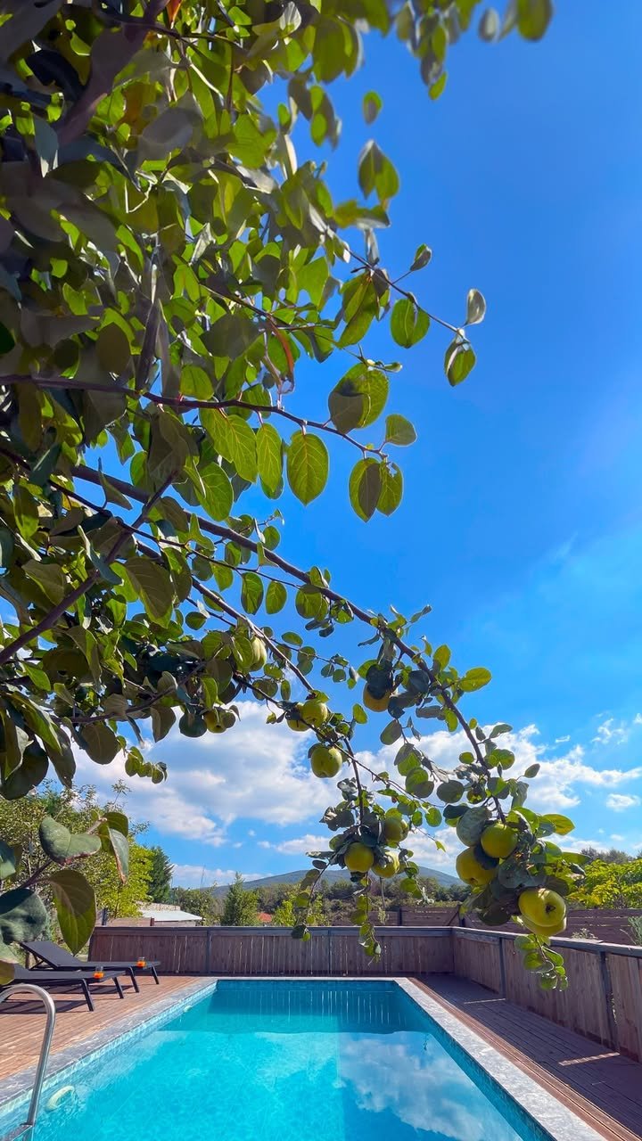 Sapanca bungalov konaklama görseli 19