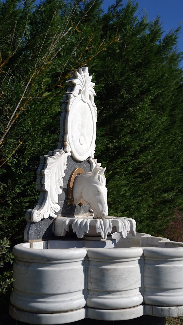 Sapanca villa konaklama görseli 24