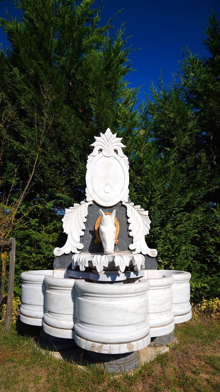 Sapanca villa konaklama görseli 25
